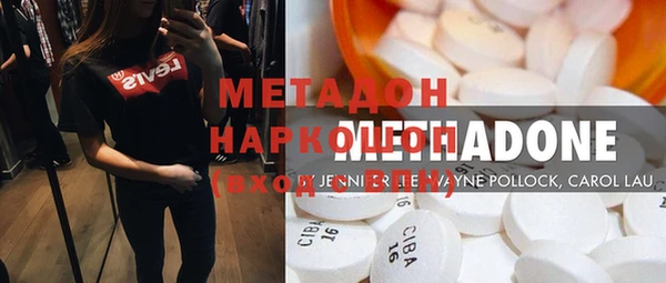 прущие грибы Новозыбков