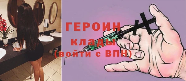 прущие грибы Новозыбков