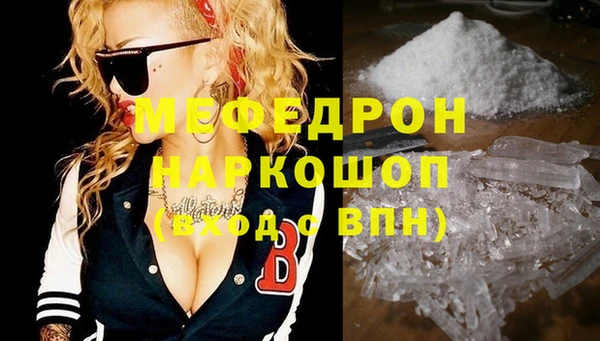 прущие грибы Новозыбков
