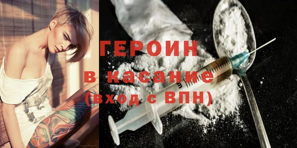 прущие грибы Новозыбков