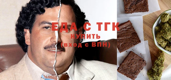 прущие грибы Новозыбков