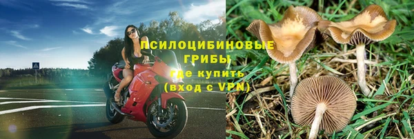 трава Нефтекумск