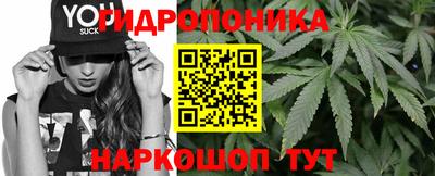 тгк Аргун