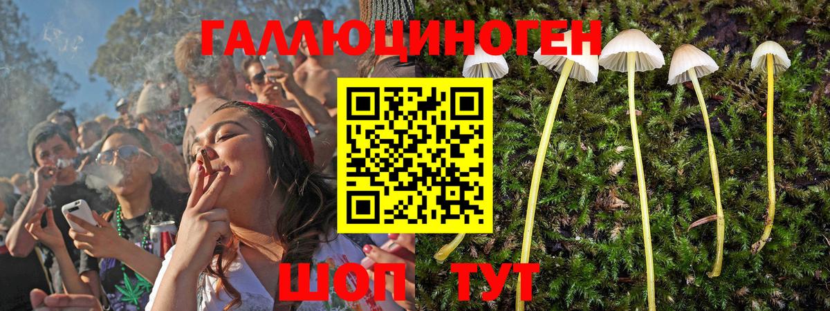 Псилоцибиновые грибы Magic Shrooms  Галлюциногенные грибы прущие грибы  Вход с VPN  Барнаул 